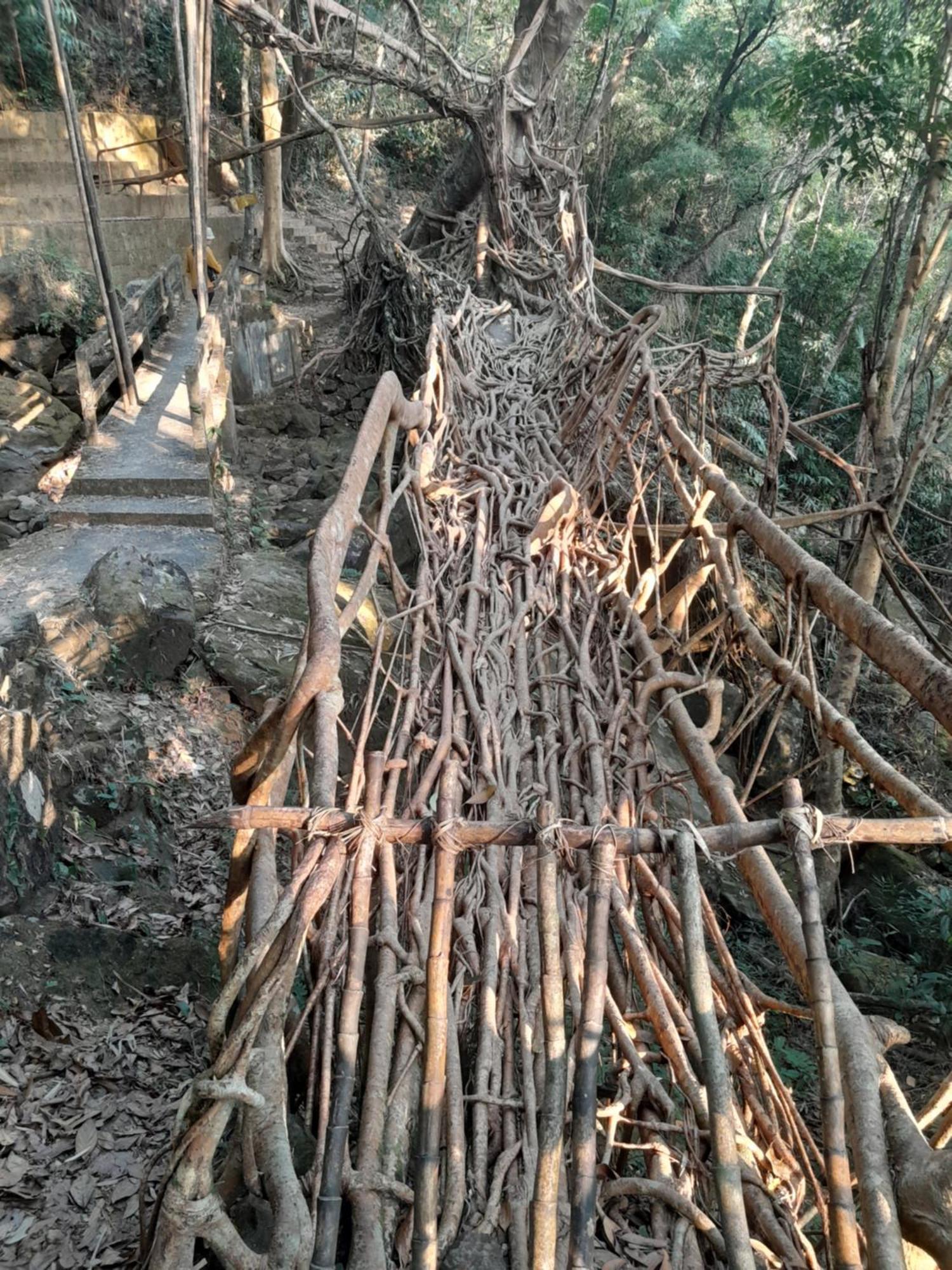 Living Roots Lodge Czerapuńdżi Zewnętrze zdjęcie